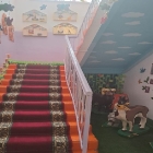 Жоғары қабатқа көтерілетін саты